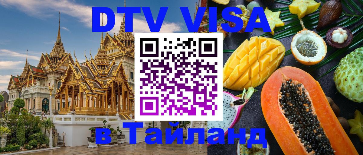 Оформление DTV визы под ключ: стоимость и тарифы, только загранпаспорт - Калининград  06.12.2025 